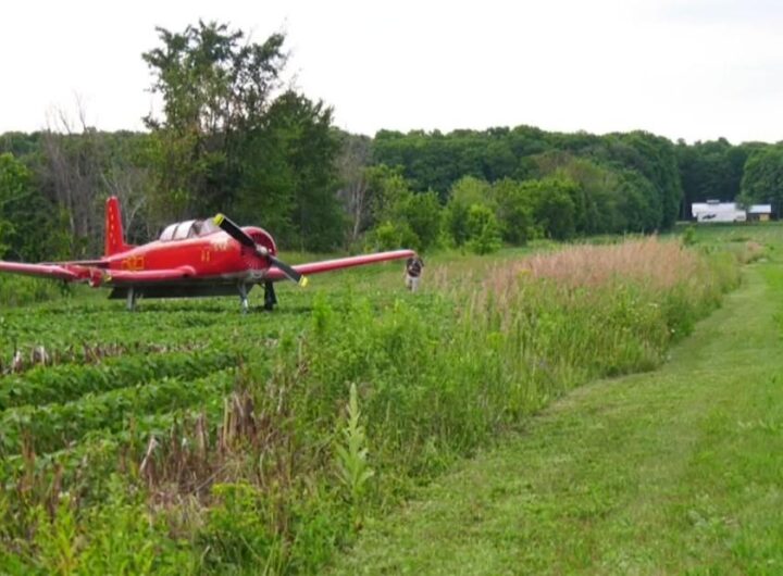A woman mowing the lawn at a Canadian airstrip is struck and killed by a small plane making a landing