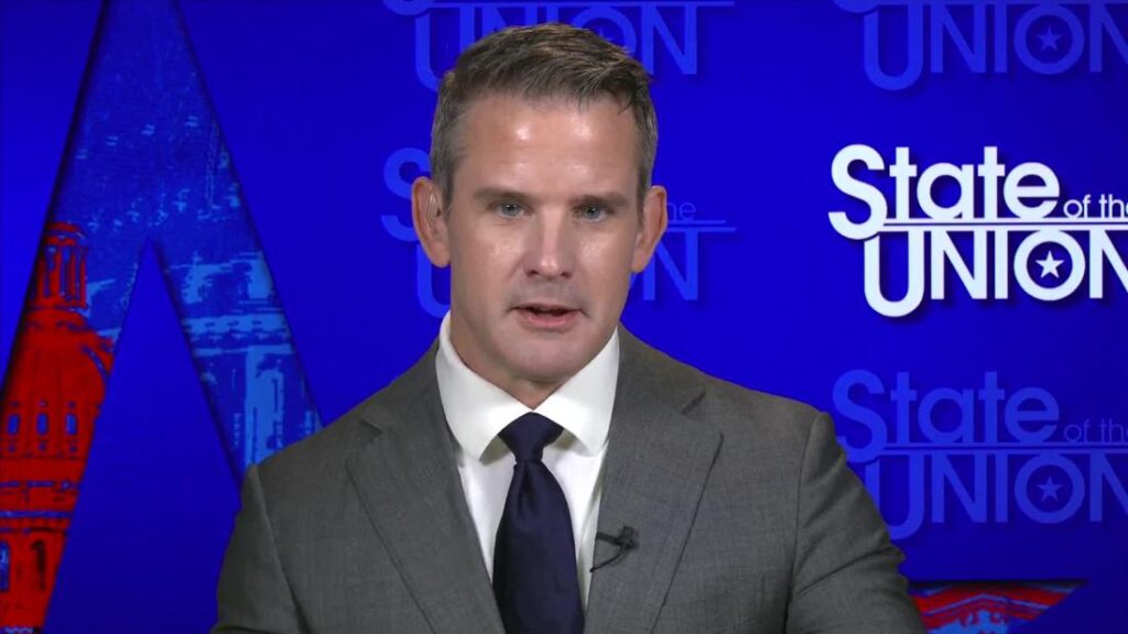 Adam Kinzinger wants GOP leaders to call out 'clown politicians' playing on vaccine fears - CNN Video