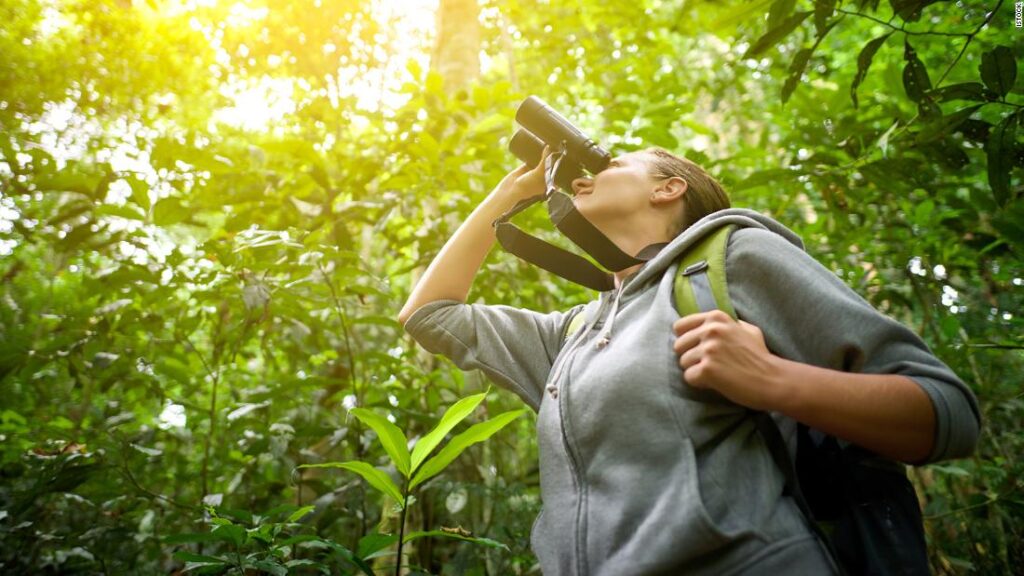 All the gear you didn't know you needed to go birding | CNN Underscored