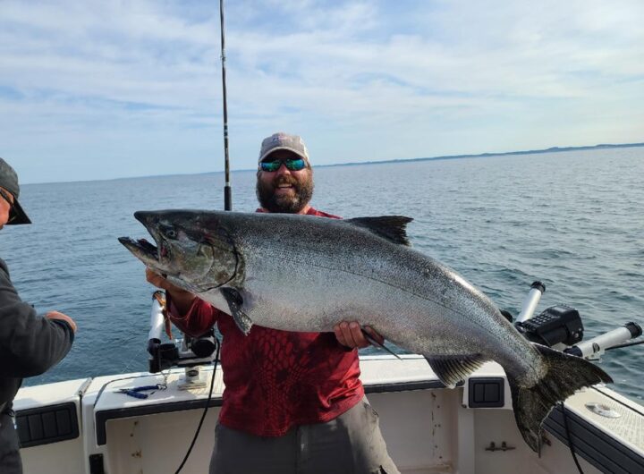 Crew of fisherman catches 39-pound salmon during MI tournament