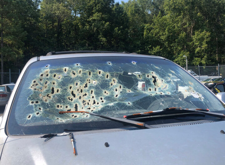 Dozens bid on cars with bullet holes at Horry County Police auction