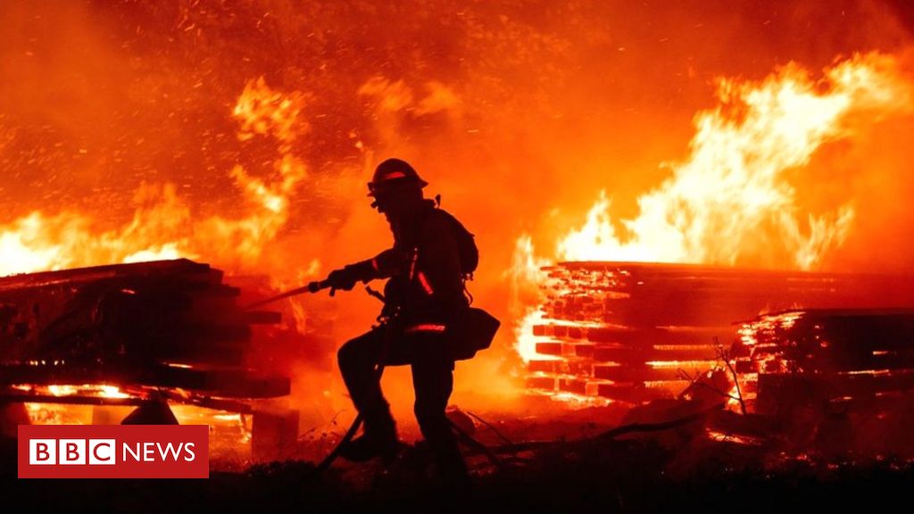 Gender reveal party couple face jail over deadly California wildfire