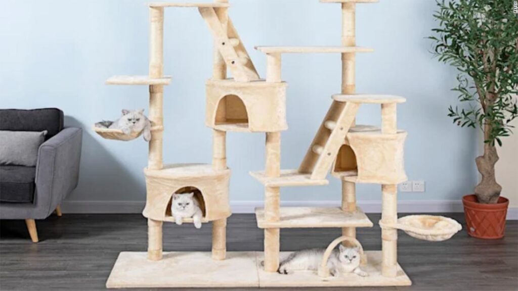 Petco is taking up to 50% off pet products at the Ruff & Mews Sales Event | CNN Underscored