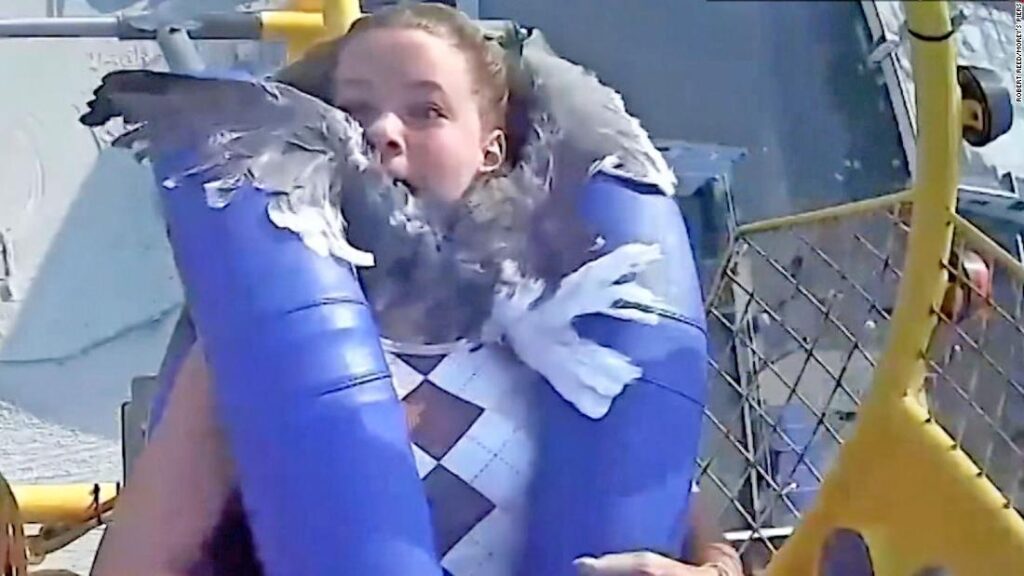 Seagull smacks into teen's neck on an amusement park ride - CNN Video