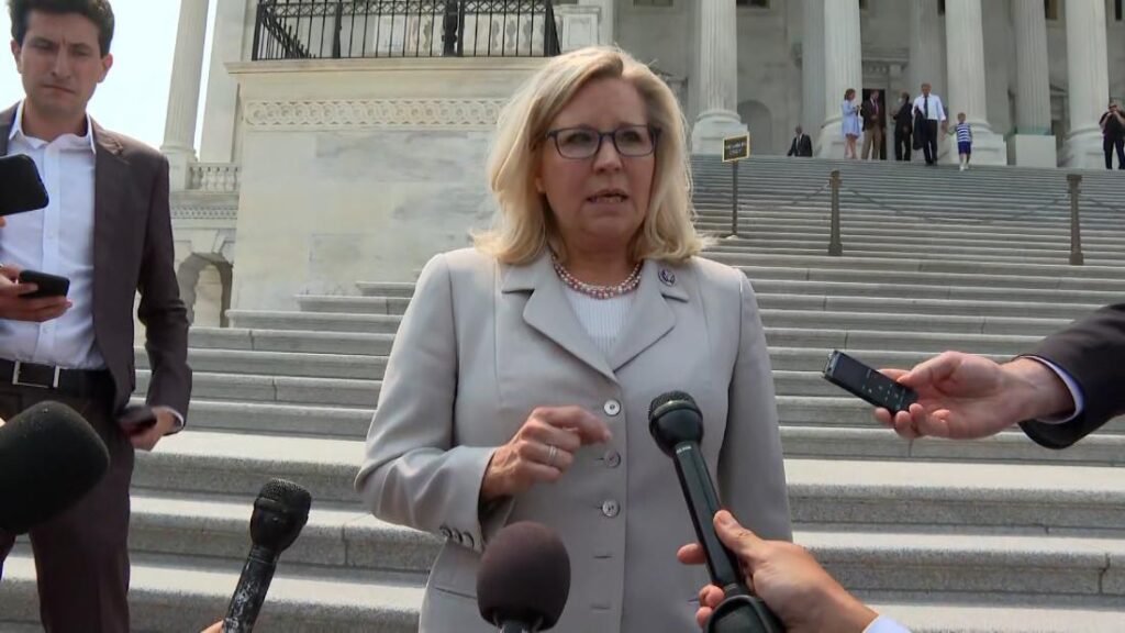 See what Liz Cheney had to say about Kevin McCarthy - CNN Video