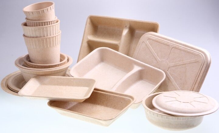 This company makes food packaging out of bamboo to cut down on trash