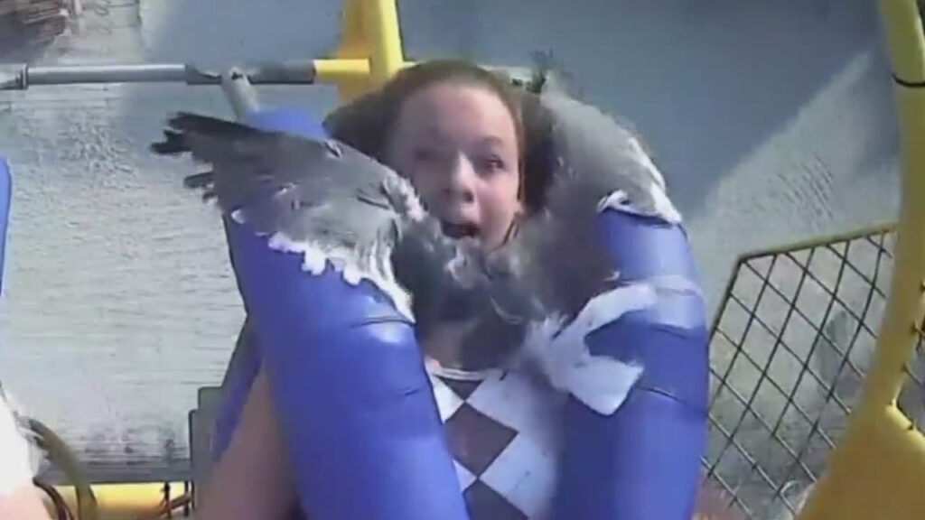WATCH: Teen Takes Seagull To The Face On Wildwood Slingshot Ride