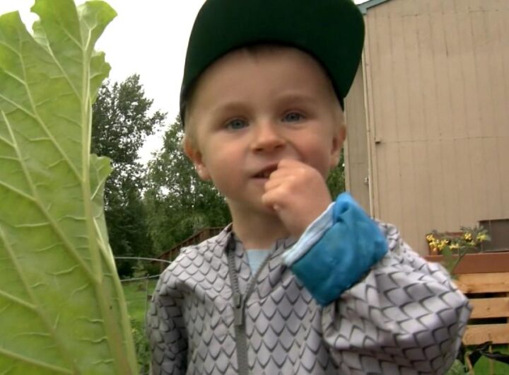 4-year-old's adorable passion for veggies and nutrition goes viral - CNN Video