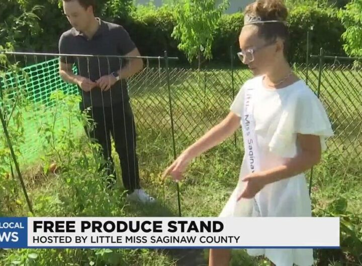 Little Miss Saginaw Co. creates produce stand to help community