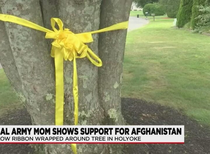 Local woman ties yellow ribbon around tree for son deployed to Afghanistan