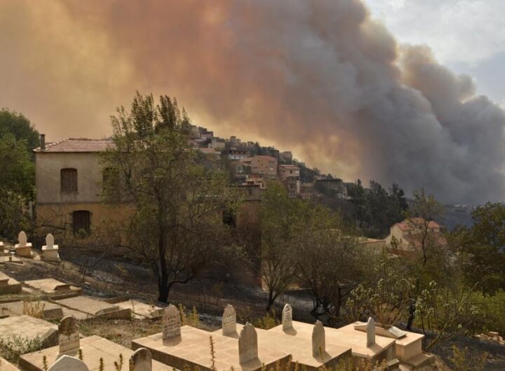 Wildfire rips through Algeria, killing 42 people including soldiers