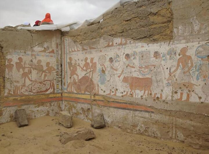 Archaeologists in Egypt reveal tomb of Ramses II's chief treasurer